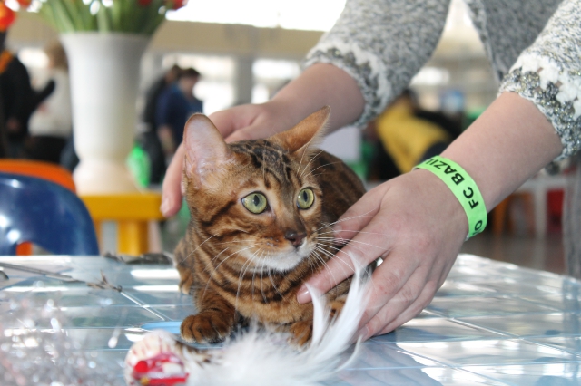 08-09 марта 2014 г. Новороссийск