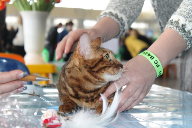 08-09 марта 2014 г. Новороссийск