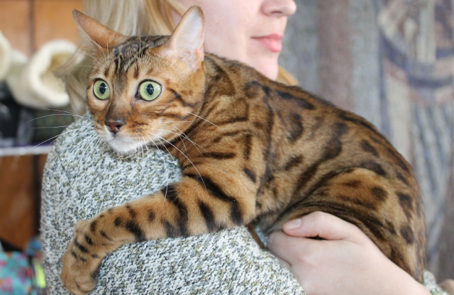 08-09 марта 2014 г. Новороссийск