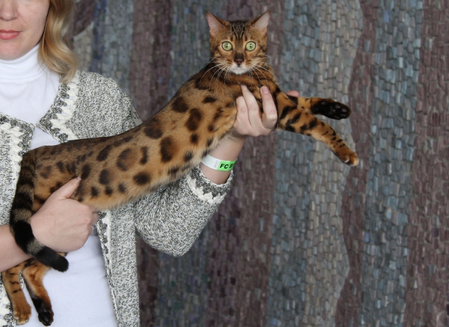 08-09 марта 2014 г. Новороссийск