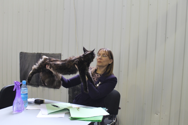 09 марта 2012 Краснодар