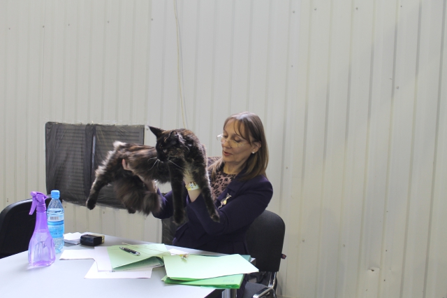 09 марта 2012 Краснодар