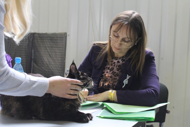 09 марта 2012 Краснодар