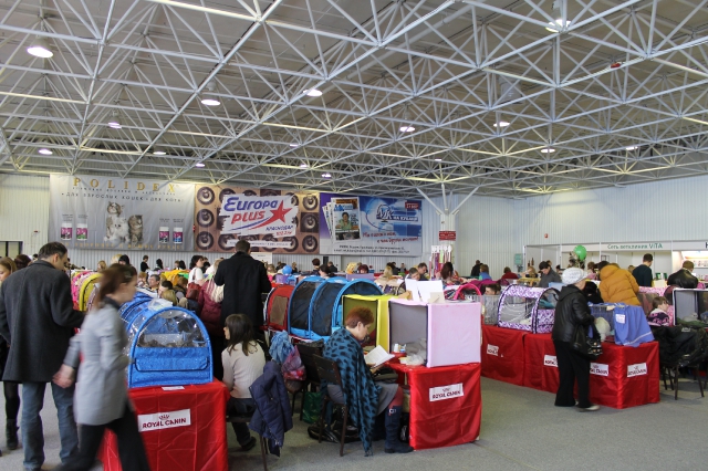 09 марта 2012 Краснодар