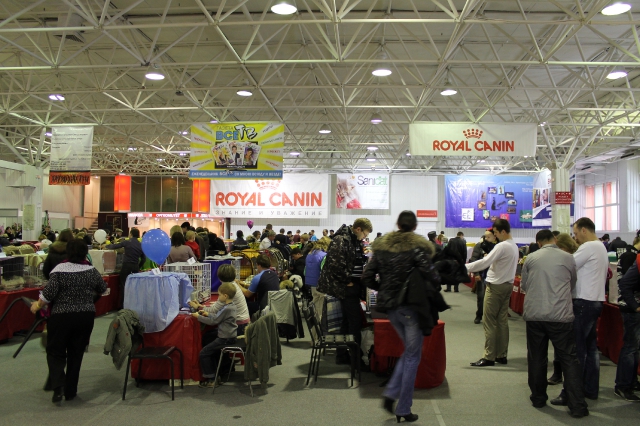 09 марта 2012 Краснодар