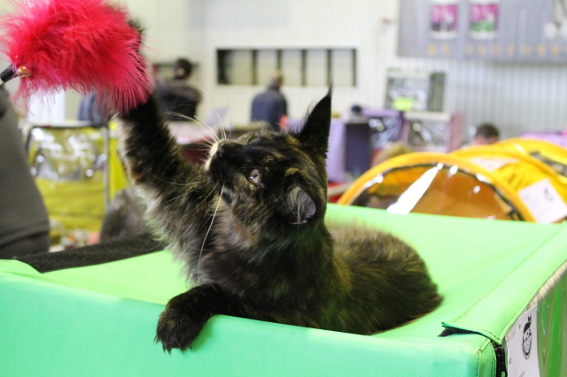 09 марта 2012 Краснодар