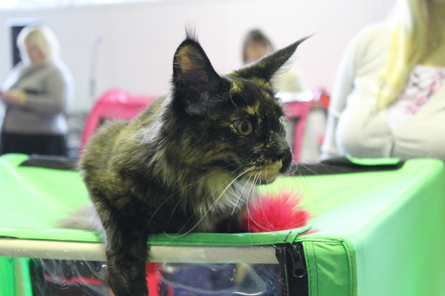 09 марта 2012 Краснодар