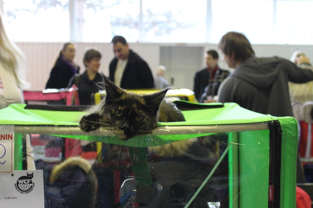 09 марта 2012 Краснодар