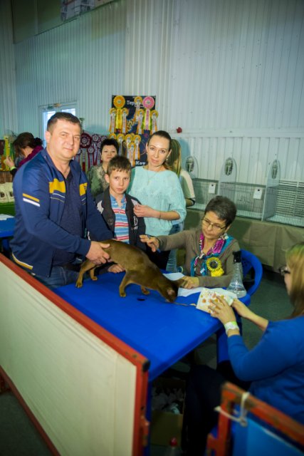 12-13 марта 2016. г. Краснодар