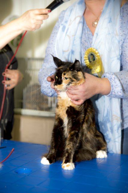 12-13 марта 2016. г. Краснодар