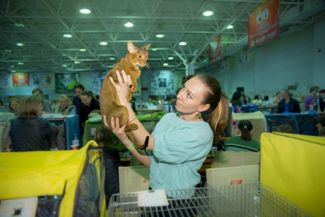 12-13 марта 2016. г. Краснодар