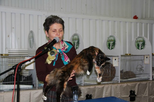 12-13 марта 2016. г. Краснодар