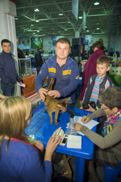 12-13 марта 2016. г. Краснодар