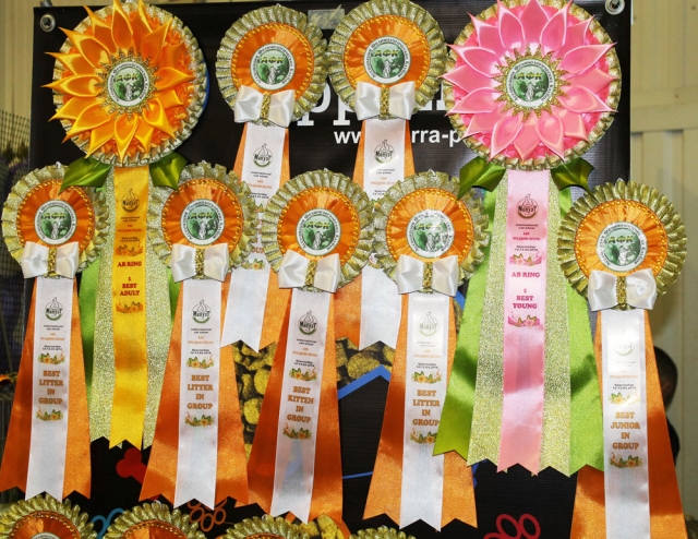 12-13 марта 2016. г. Краснодар