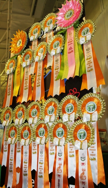 12-13 марта 2016. г. Краснодар