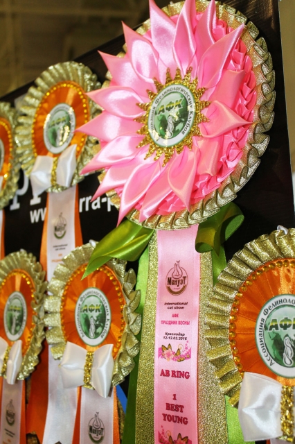 12-13 марта 2016. г. Краснодар