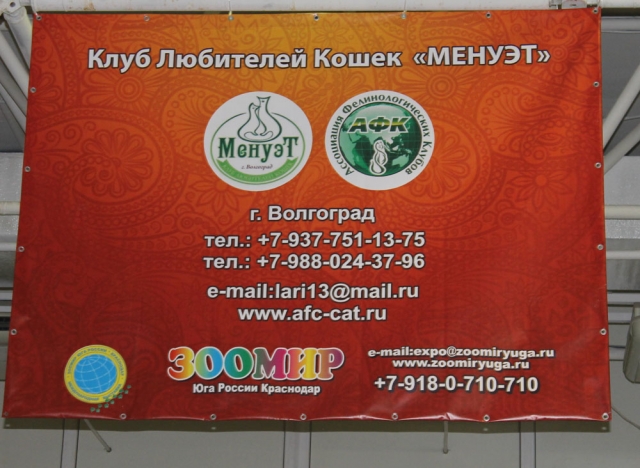 12-13 марта 2016. г. Краснодар