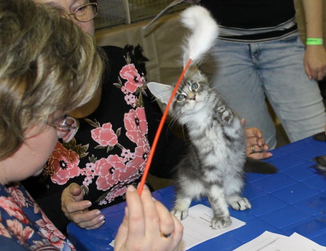 12-13 марта 2016. г. Краснодар