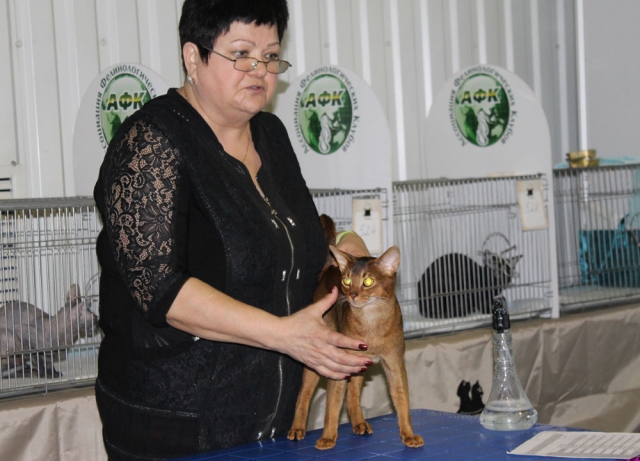 12-13 марта 2016. г. Краснодар