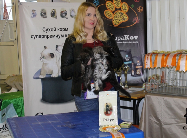 12-13 марта 2016. г. Краснодар