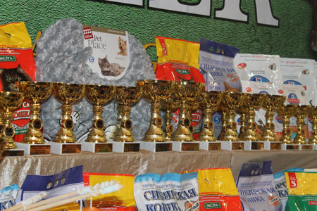 12 апреля 2014 Краснодар