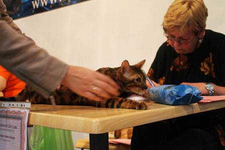 12 апреля 2014 Краснодар