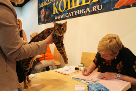 12 апреля 2014 Краснодар