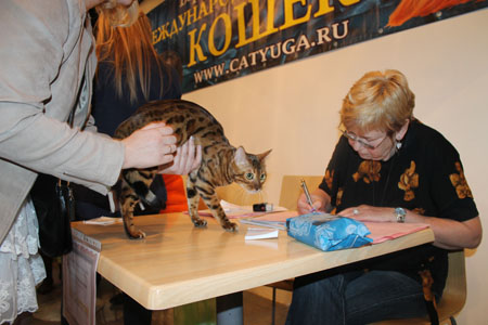 12 апреля 2014 Краснодар