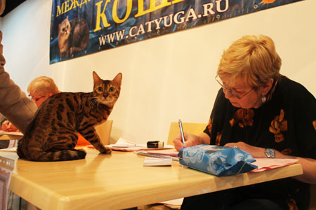 12 апреля 2014 Краснодар