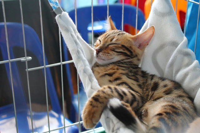 14-15 марта 2015 Новороссийск