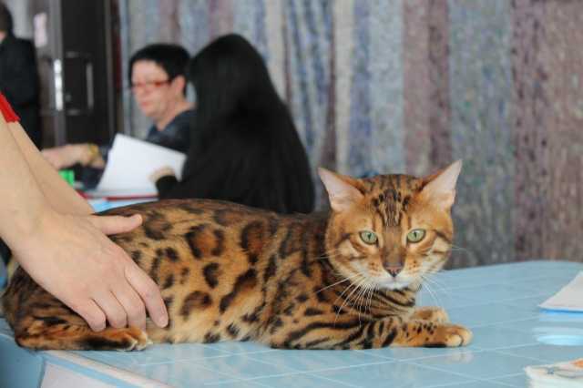 14-15 марта 2015 Новороссийск