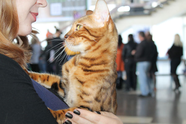 14-15 марта 2015 Новороссийск