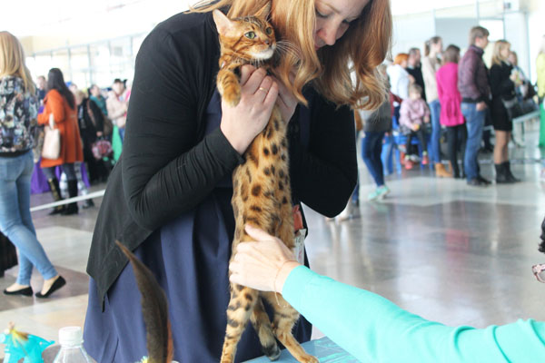 14-15 марта 2015 Новороссийск