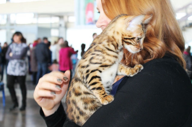 14-15 марта 2015 Новороссийск