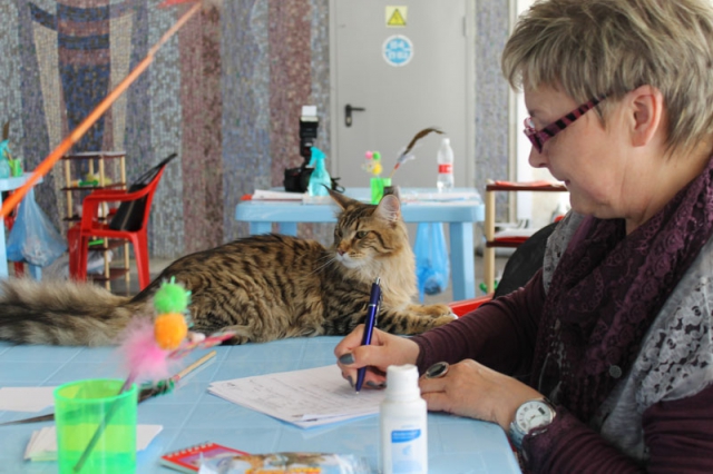 14-15 марта 2015 Новороссийск