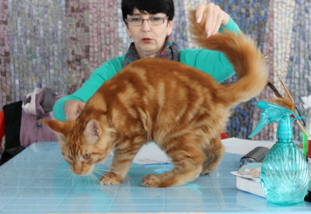 14-15 марта 2015 Новороссийск