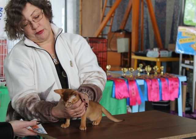 14-15 марта 2015 Новороссийск