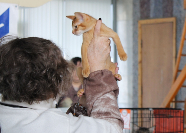 14-15 марта 2015 Новороссийск