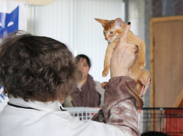 14-15 марта 2015 Новороссийск