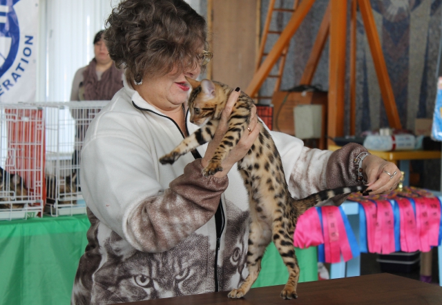 14-15 марта 2015 Новороссийск