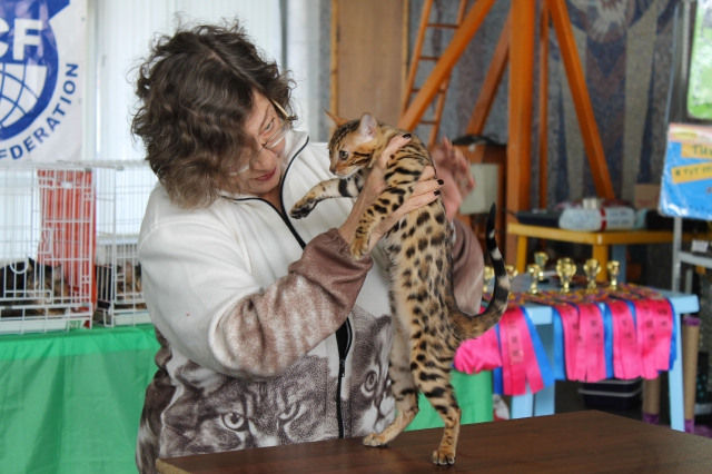 14-15 марта 2015 Новороссийск