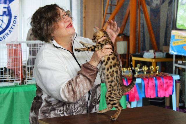 14-15 марта 2015 Новороссийск