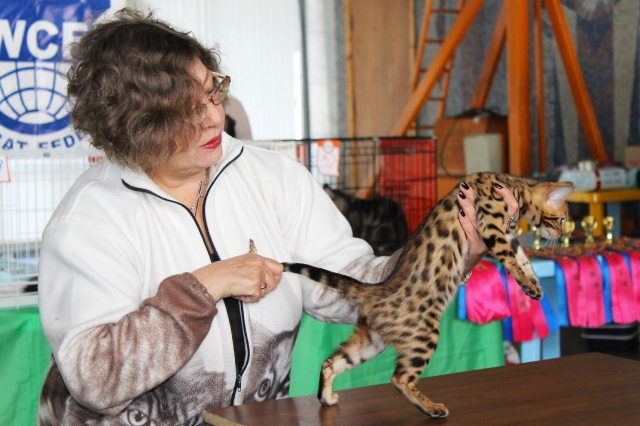 14-15 марта 2015 Новороссийск