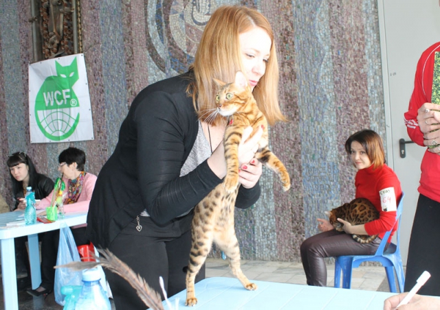 14-15 марта 2015 Новороссийск