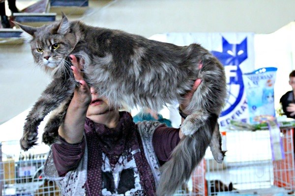 14-15 марта 2015 Новороссийск