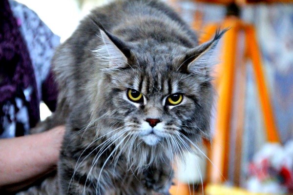 14-15 марта 2015 Новороссийск