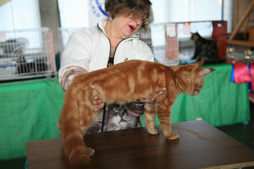 14-15 марта 2015 Новороссийск