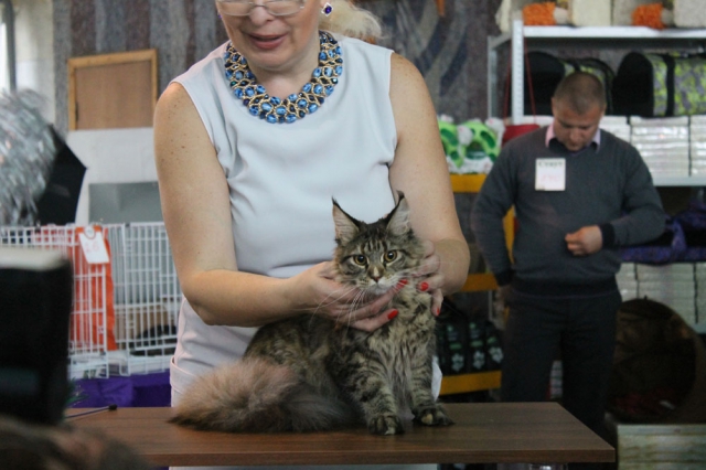 18-19 октября 2014 Новороссийск