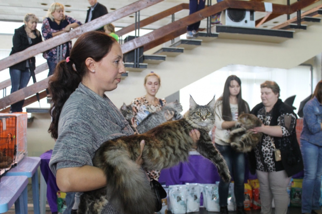 18-19 октября 2014 Новороссийск