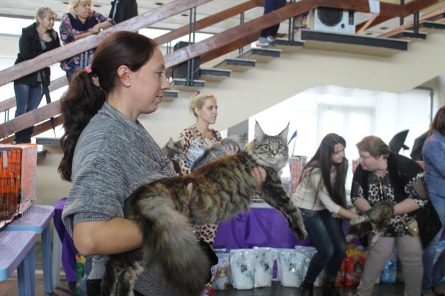 18-19 октября 2014 Новороссийск